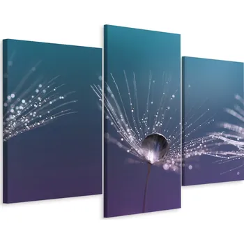 Obraz Obraz Tryptych SEMENA PAMPELIŠKY Kapky 3D 60x40