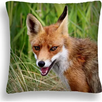 Polštář POLŠTÁŘ Zrzavá LIŠKA CHYTRÁK ZW 04 PL 50X50