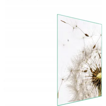 Obraz Krájecí deska TMK ArtDeko sklo 1 ks