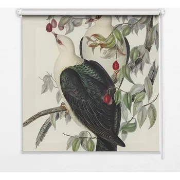 Prostěradlo Zatemňovací roleta Coloray 140 cm x 180 cm