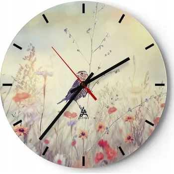 Hodiny Velké nástěnné hodiny 40x40 cm Pták Skleněné hodiny Kulatý Tiché