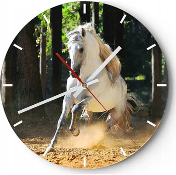 Hodiny Nástěnné hodiny do kuchyně 30x30 Zvířata Skleněné hodiny do obýváku Tiché