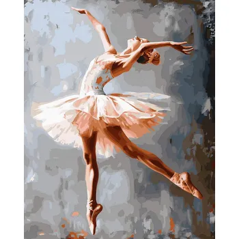 Malování podle čísel iPicasso 40x50 cm na rámu