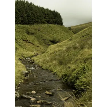 Obraz Plakát Potok údolím bez rámu 20,5 x 28,4 cm