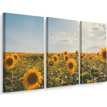 Obraz Obraz Tryptych Pole SLUNEČNIC Slunce 3D 60x40