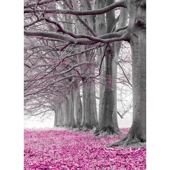 Obraz Plakát Stromy v řadě - růžové listy bez rámu 20,5 x 28,4 cm