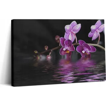 Obraz Obraz Na Plátně Inspirující pro kancelář Růžový květ orchideje na vodě 30x20