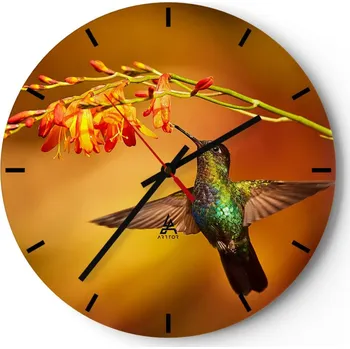 Hodiny Velké nástěnné hodiny na zeď 40x40 Kolibřík Skleněné hodiny Kulatý Tiché