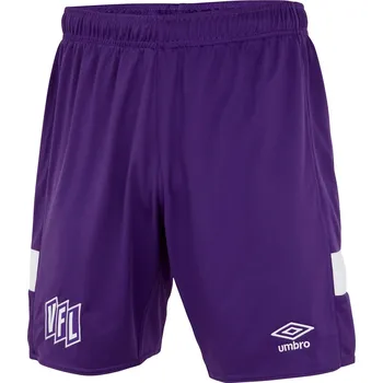 Pánské oblečení Kraťasy Umbro Purple 1084982 Small