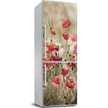 Fototapeta Samolepicí samolepící s dýhou Polní květiny