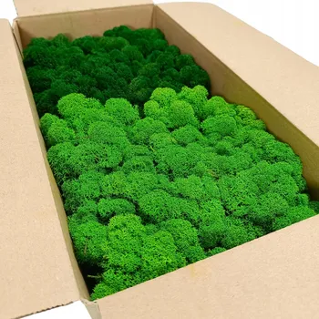 Obraz Dekorativní mech v kartonu 200g, 10 x 20 cm