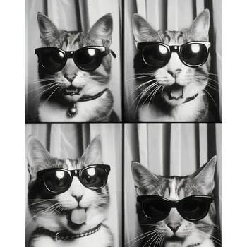 Plakát Plakát Kočičí Koketérie bez rámu 40 x 50 cm