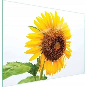 Kuchyňské prkénko Krájecí deska TMK ArtDeko sklo 1 ks