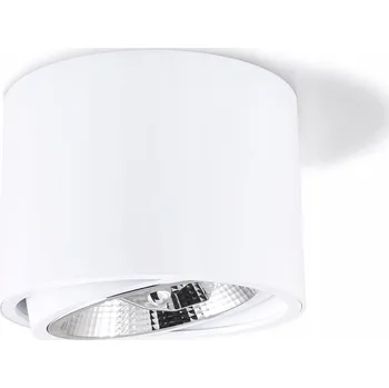 Nástěnné svítidlo Přisazené stropní/nástěnné LED svítidlo Orbit Bílá AR111