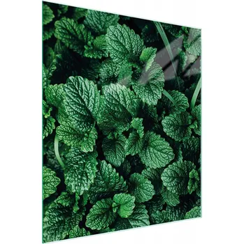 Kuchyňské prkénko Krájecí deska TMK ArtDeko sklo 1 ks