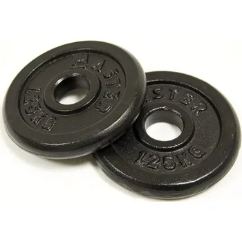 Kotouč MASTER 1,25 kg kov (pár)