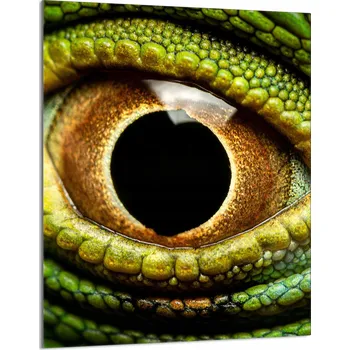 Obraz Krájecí deska TMK ArtDeko sklo 1 ks