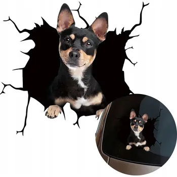 Samolepicí dekorace na vozidlo SAMOLEPKA Grafika na auto rozbité okno Vypadající Pes Pejsek DOG 15x16