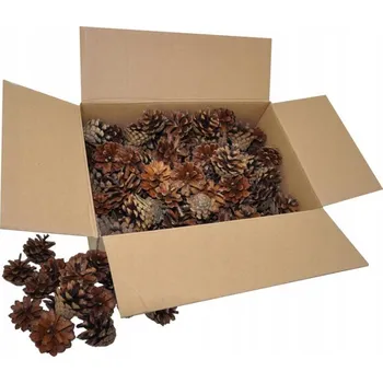 Obraz Přírodní Šišky pro kutily, cca 125 ks