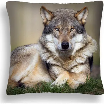 Polštář Spací Polštář WENECJA 50 x 50 cm