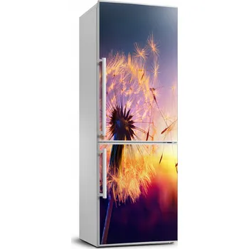 Fototapeta Samolepková fototapeta na ledničku Pampeliška