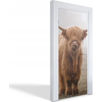 Fototapeta Ozdobná fólie na dveře skříně nebo nábytek Skotská kráva Highland 85x205 cm