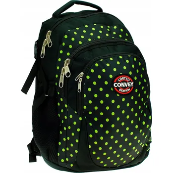 Školní batoh KVALITNÍ VELKÝ ŠKOLNÍ BATOH PRO MLÁDEŽ, MĚSTSKÁ AKTOVKA