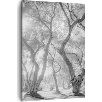 Obraz Obraz na plátně do obýváku ložnice 50x70 les foto obrazy na zeď canvas