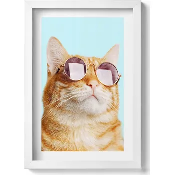 Obraz Elegantní obraz do obýváku v bílém rámu - Legrační kočka v brýlích 20x30 cm