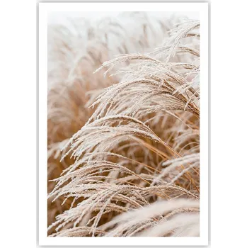 Obraz Plakát na zeď bez rámu 70x100 tráva boho obraz plakáty do obývacího pokoje