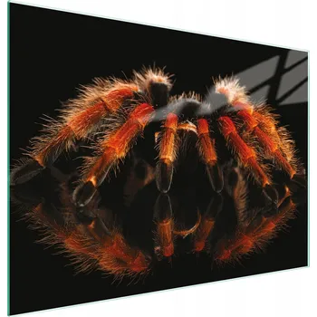 Kuchyňské prkénko Krájecí deska TMK ArtDeko sklo 1 ks