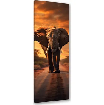 Obraz OBRAZ DO LOŽNICE Africký slon Savana NA PLÁTNĚ 50x150