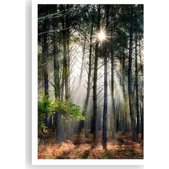 Obraz Plakát na zeď bez rámu 70x100 les foto-obraz plakáty do obývacího pokoje ložnice