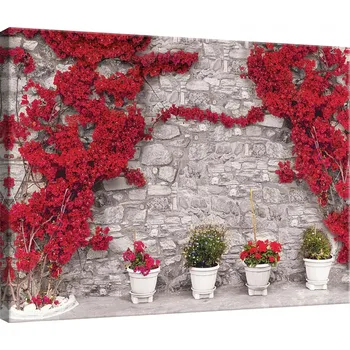 Obraz OBRAZ NA PLÁTNĚ CANVAS 80x60 BUGENVILIE ZEĎ