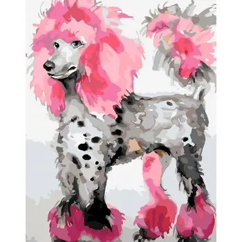 Obraz Obraz MALOVÁNÍ PODLE ČÍSEL RÁM 50x40 Pes Pejsek Pudl