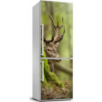 Fototapeta Samolepicí samolepící na ledničku na zeď Jelen