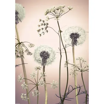 Obraz Plakát Květiny luční 3 bez rámu 29,7 x 42 cm