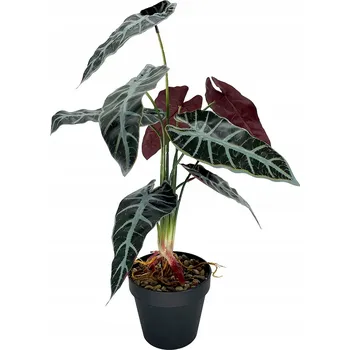 umělá květina Diefenbachie Umělé květy JAKO ŽIVÁ 55 cm