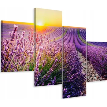 Obraz Čtyřdílný obraz LEVANDULE Západ Slunce 3D 80x50