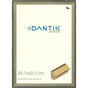 Obraz DANTIK Rámeček na jednu fotku 42 x 29,7 cm