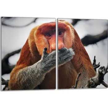 Kuchyňské prkénko Krájecí deska TMK ArtDeko sklo 2 ks