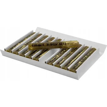 Hmoždinka Chemická kotva PGB M12 10 ks