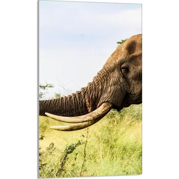 Kuchyňské prkénko Krájecí deska TMK ArtDeko sklo 1 ks