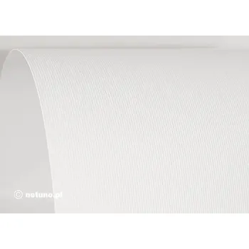 Kancelářský papír Vizitkový papír A4 Aster 250 g/m2, 100 listů