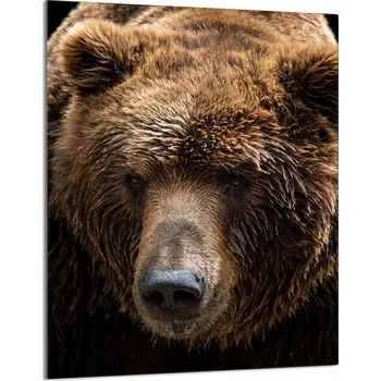 Obraz Krájecí deska TMK ArtDeko sklo 1 ks