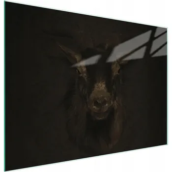 Kuchyňské prkénko Krájecí deska TMK ArtDeko sklo 1 ks