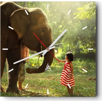 Hodiny Velké nástěnné hodiny 40x40 cm Zvířata Skleněné tiché hodiny