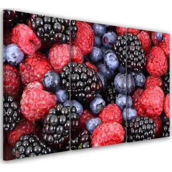 Obraz Feeby Třídílný obraz na plátně Maliny Ovoce 60x40 cm