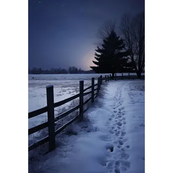Plakát Plakát Tiché Světlo Zimy bez rámu 61 x 90,5 cm