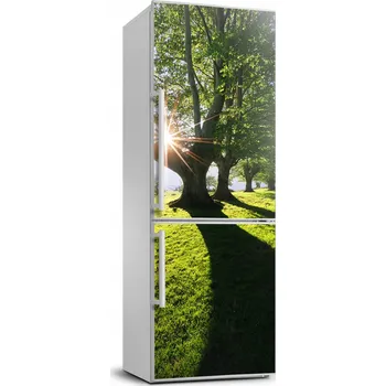 Fototapeta Samolepící tapeta na lednici – Krajina Park 70x190 cm
